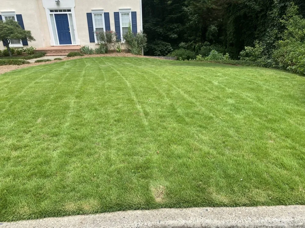 Expert landscape installation in Snellville, GA by Local Boyz