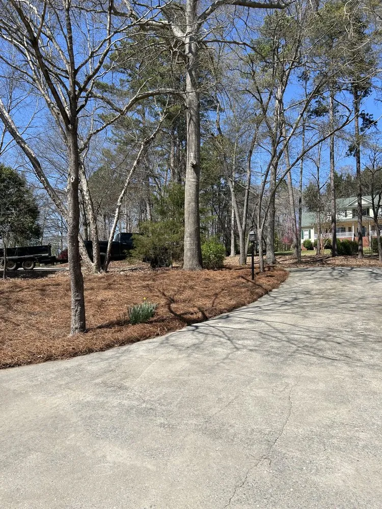 Reliable yard maintenance in Seneca, SC - Local Cut Lawn Care