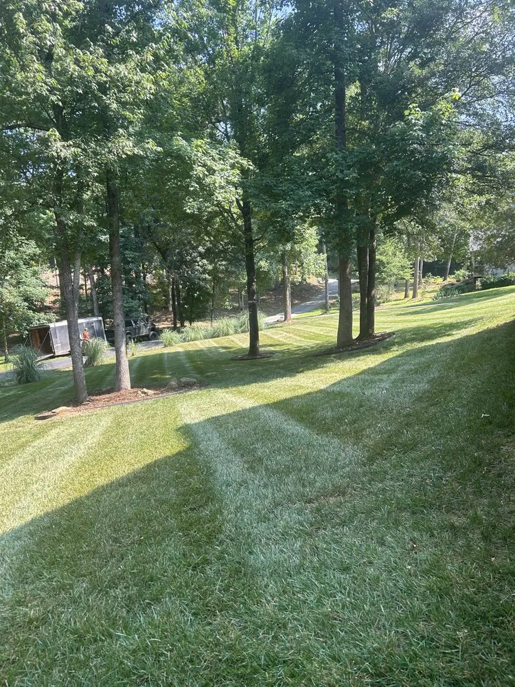 Reliable outdoor landscaping with custom design across Seneca, SC - Local Cut Lawn Care