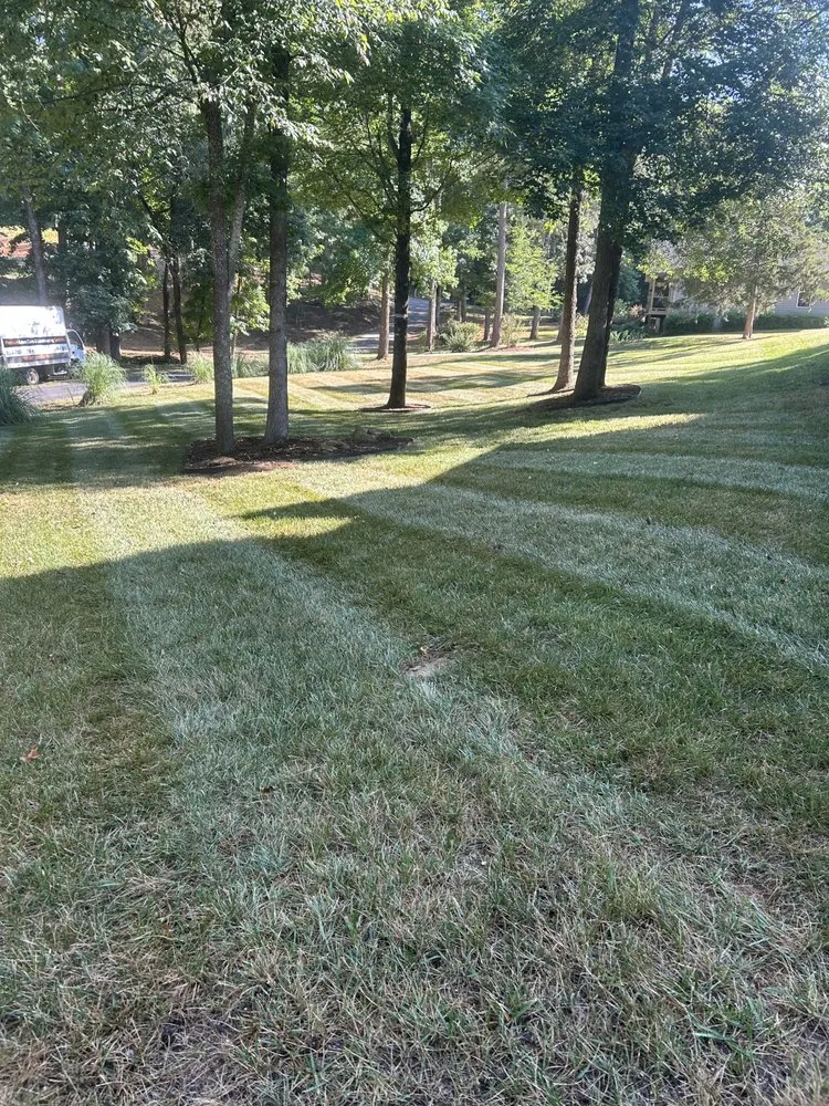 Affordable lawn care service with custom design in Seneca, SC by Local Cut Lawn Care