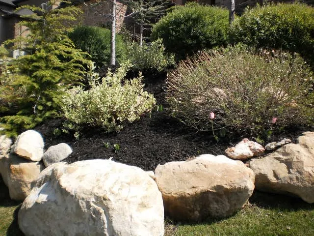 Local lawn care service in Taylorsville, UT - Local Edge Lawn Care