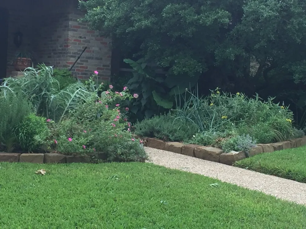 Local landscape installation in Plano, TX by Local Flora