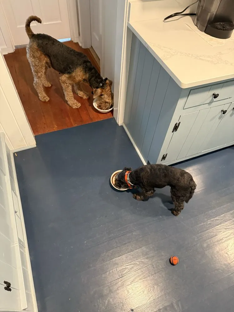 Top-rated landscape design in Columbia, SC - Local Happiness Construction