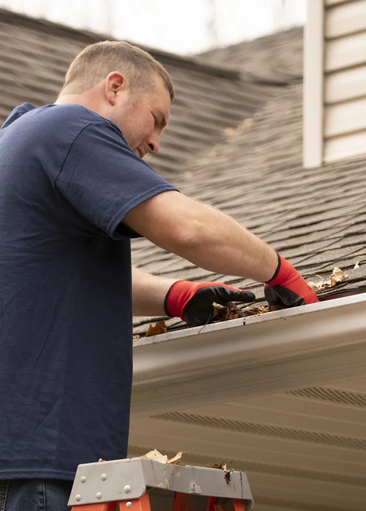 Top-rated yard cleanup service in Shoreview, MN - Local Hometown Heroes