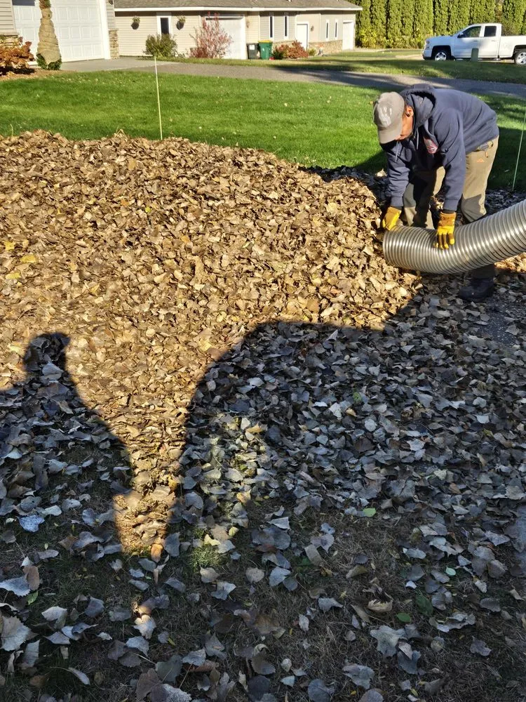 Reliable landscaping services in Woodbury, MN by Local Hometown Heroes