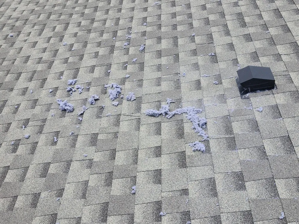 Affordable yard cleanup service near you across Woodbury, MN - Local Hometown Heroes