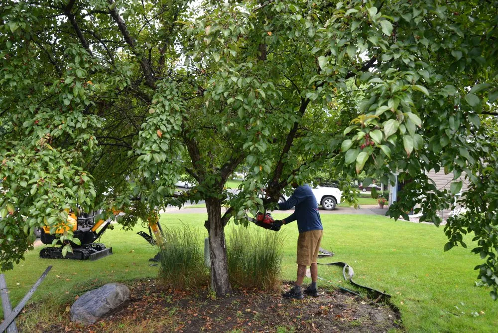 Professional lawn mowing service experts serving Woodbury, MN - Local Hometown Heroes