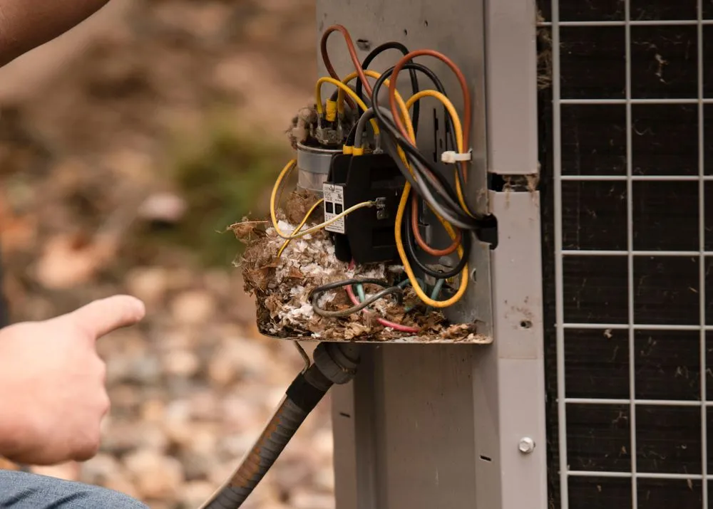 Affordable yard maintenance in Woodbury, MN by Local Hometown Heroes