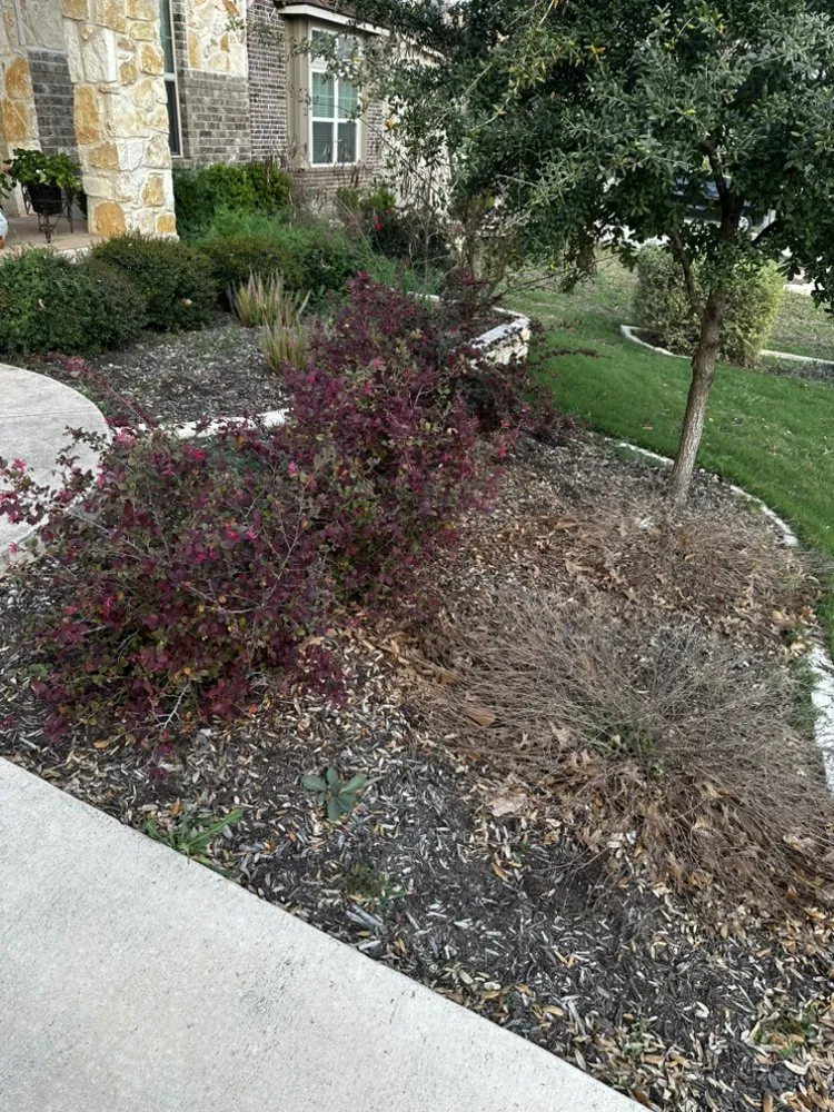 Trusted yard maintenance for homes in New Braunfels, TX by Local Landscape & Design