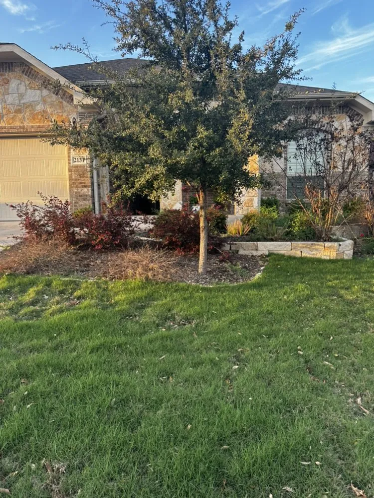 Professional yard maintenance for year-round maintenance in New Braunfels, TX by Local Landscape & Design