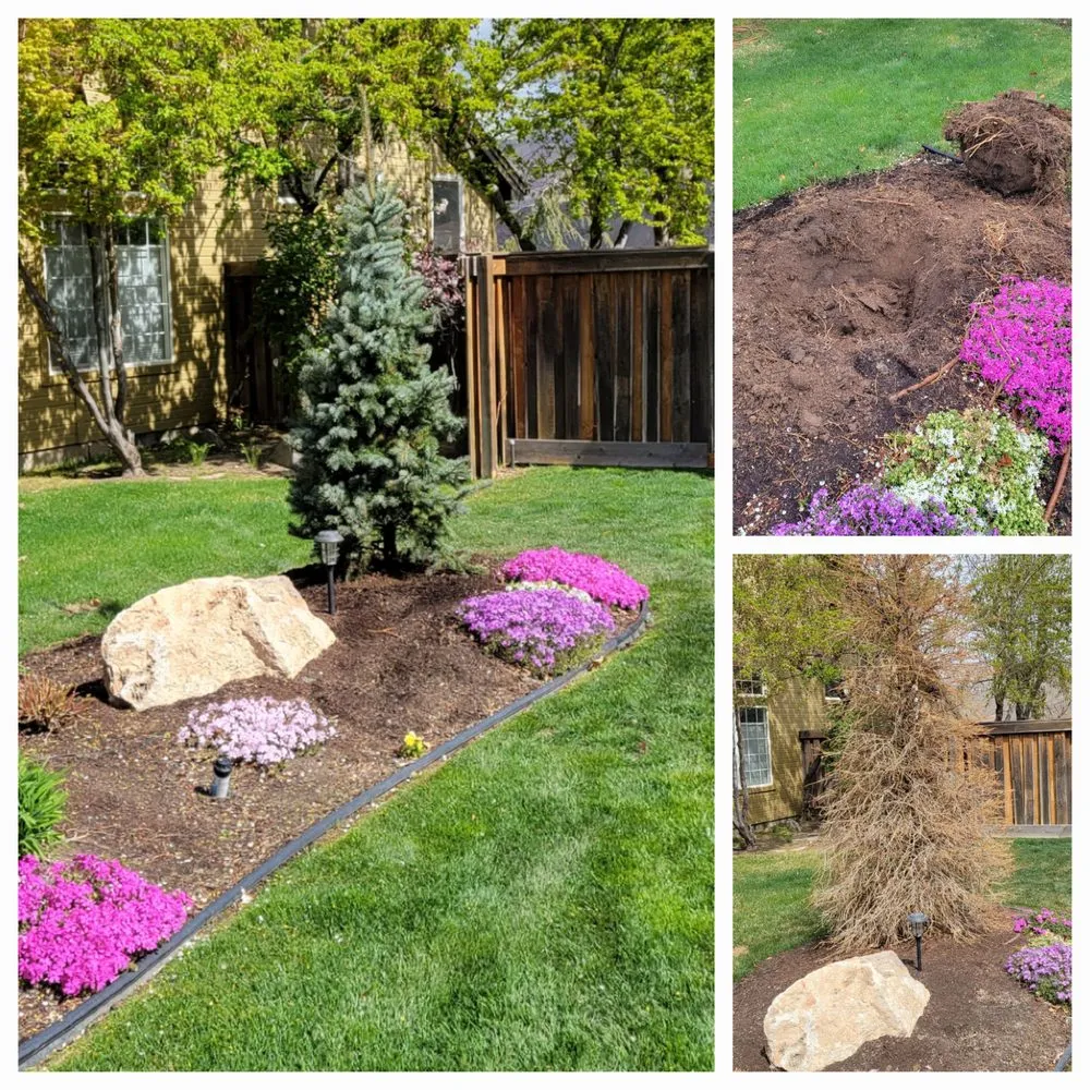 Affordable yard cleanup service experts serving Boise, ID - Local Landscape Idaho