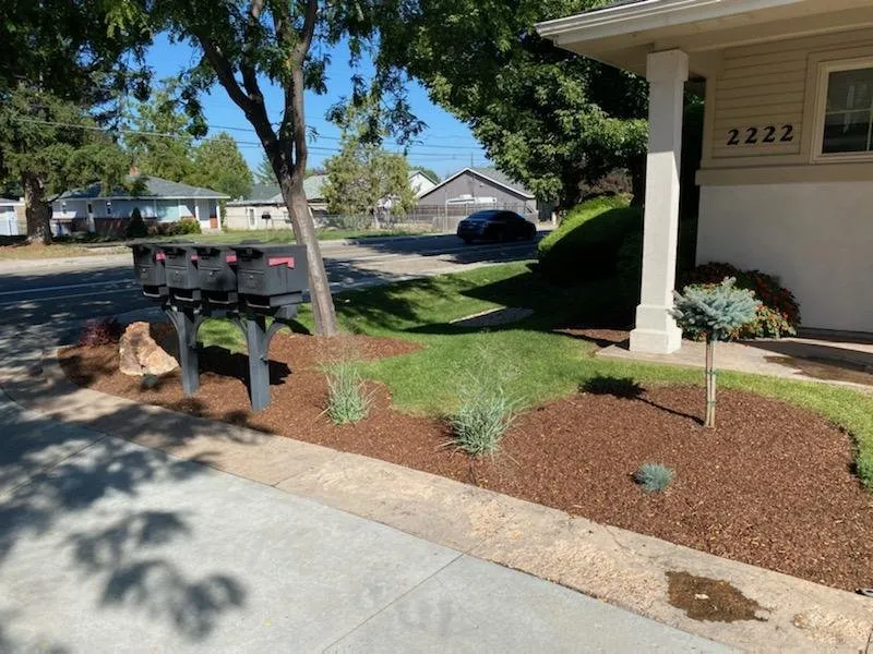 Trusted lawn mowing service in Boise, ID - Local Landscape Idaho