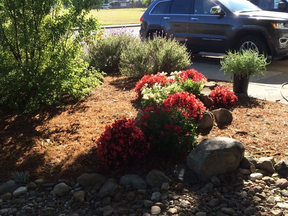 Trusted garden landscaping in Sonoma, CA - Local Landscapers