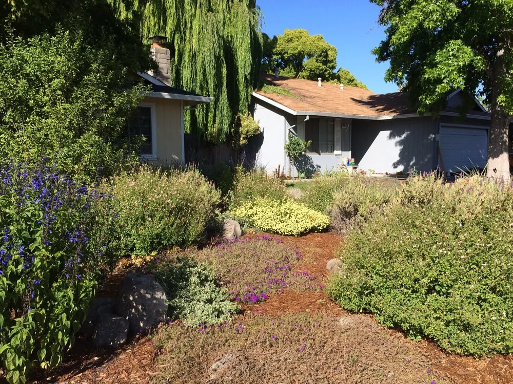 Custom lawn mowing service for residential properties in Sonoma, CA by Local Landscapers