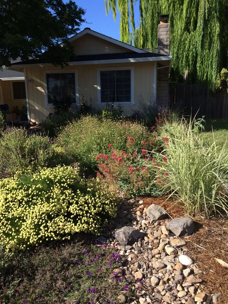 Top-rated landscaping services in Sonoma, CA - Local Landscapers