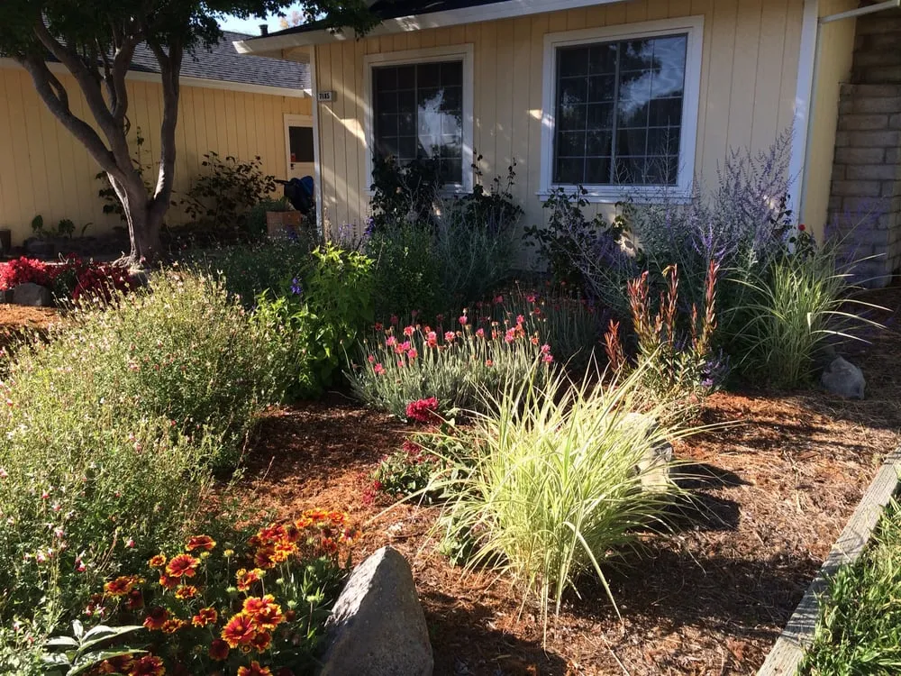 Trusted lawn mowing service in Sonoma, CA - Local Landscapers