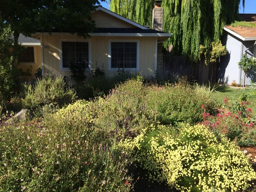 Top-rated garden landscaping for outdoor upgrades across Sonoma, CA - Local Landscapers