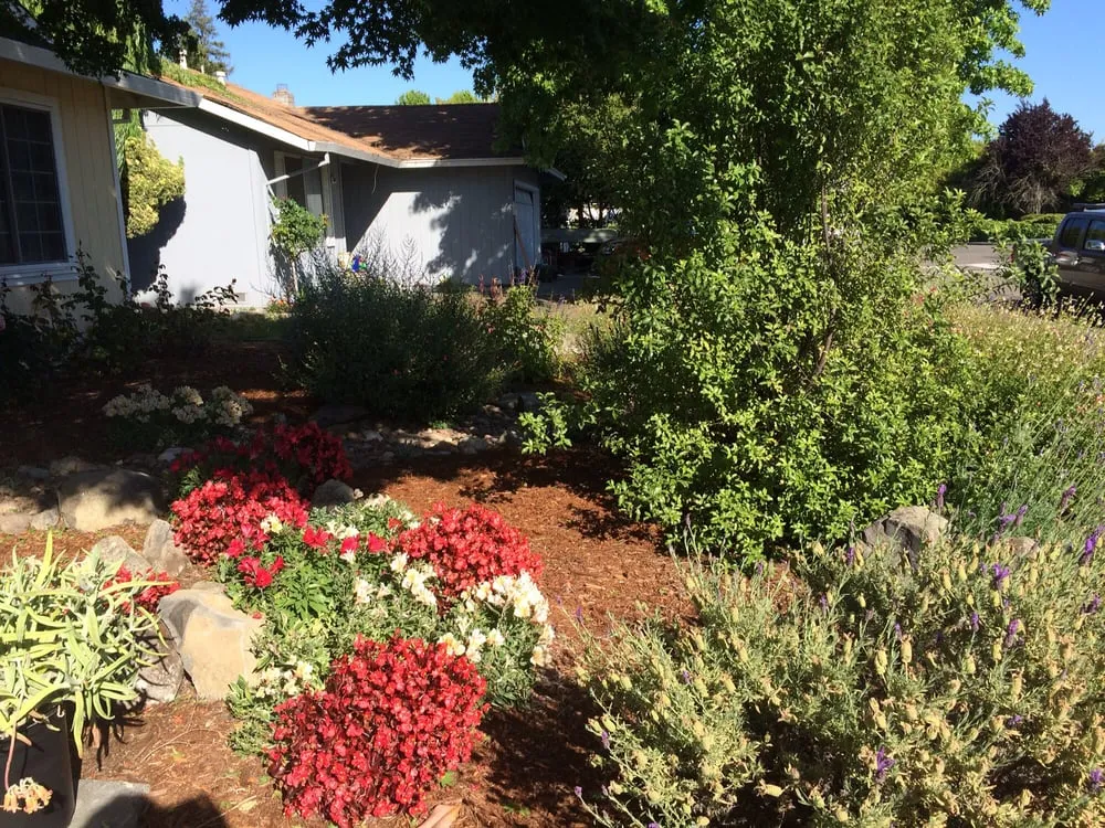 Expert outdoor landscaping near you in Sonoma, CA by Local Landscapers