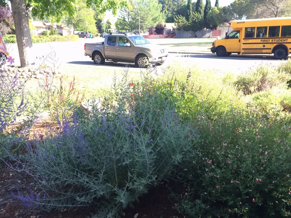 Affordable landscape design in Sonoma, CA by Local Landscapers