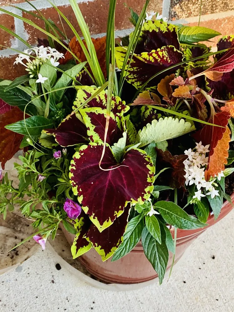 Expert garden landscaping for outdoor upgrades across Fayetteville, AR - Local Landscapes By Wendy Ewing & Sons