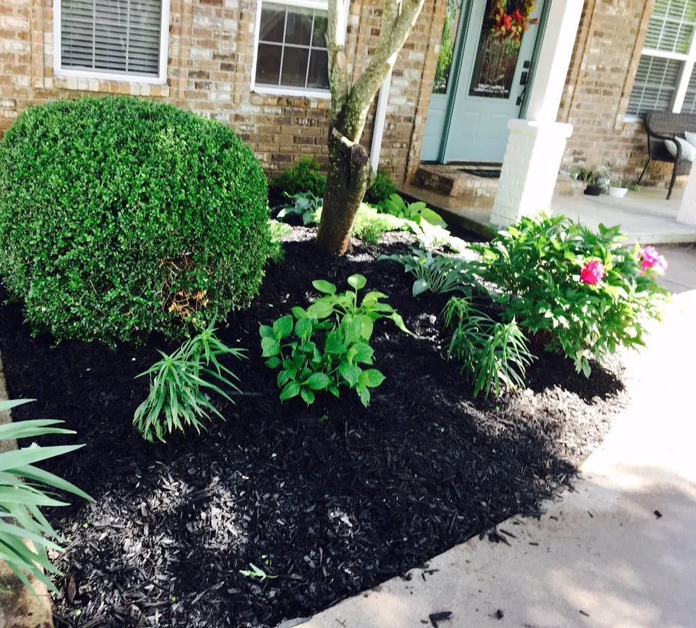 Expert landscape installation near you in Fayetteville, AR by Local Landscapes By Wendy Ewing & Sons
