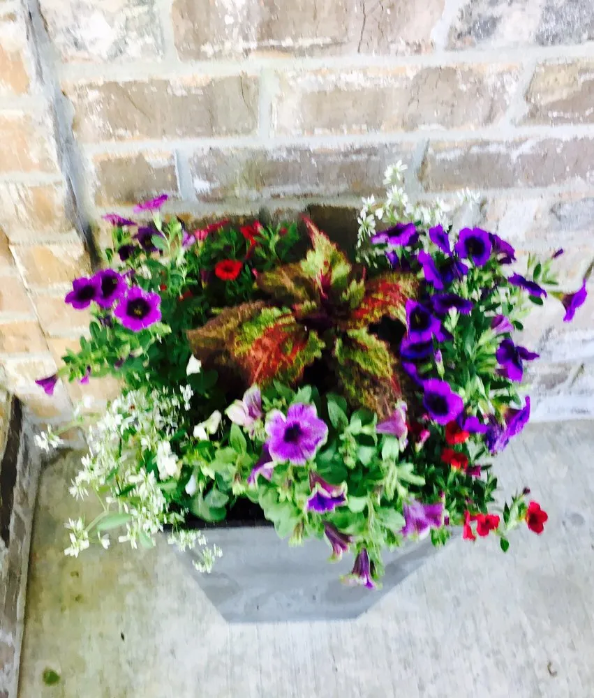 Affordable outdoor landscaping with custom design in Fayetteville, AR by Local Landscapes By Wendy Ewing & Sons