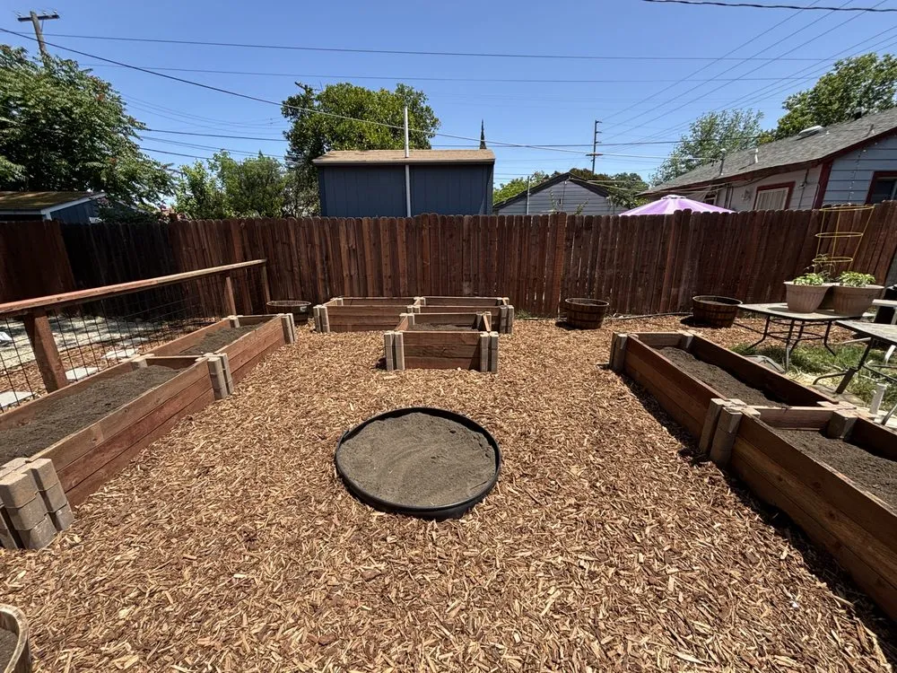 Trusted yard cleanup service experts serving Rocklin, CA - Local Landscapes