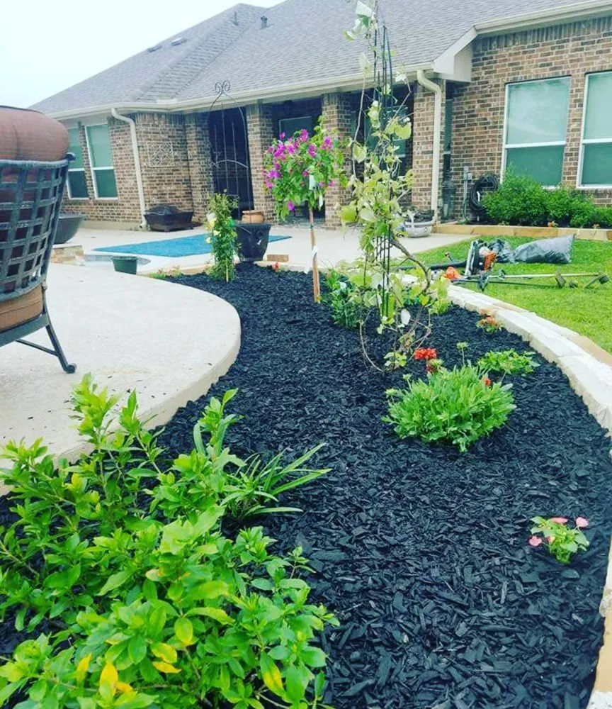 Local yard cleanup service experts serving Baytown, TX - Local Landscaping & Lawncare