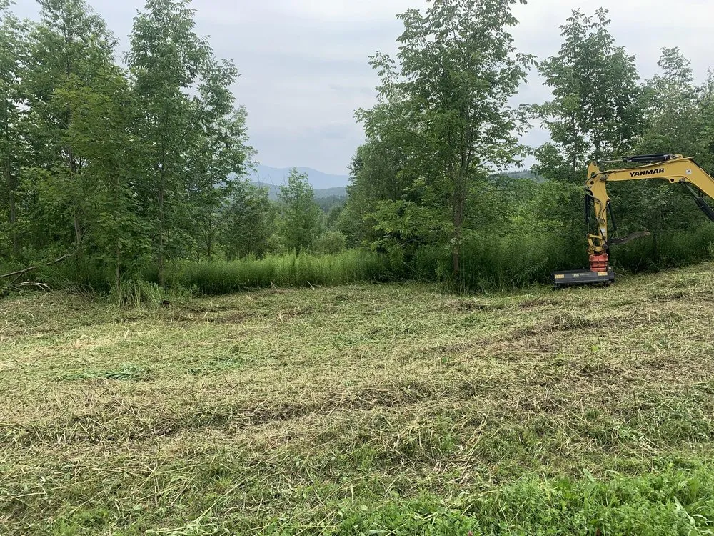 Expert landscape design for beautiful yards across North Adams, MA - Local Lawn & Land