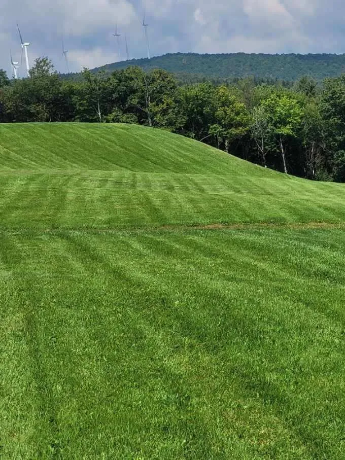 Local outdoor landscaping experts serving North Adams, MA - Local Lawn & Land