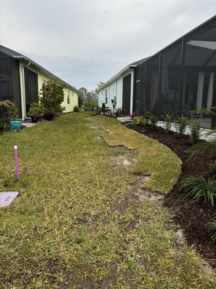 Expert yard maintenance near you in Ormond Beach, FL by Local Lawn and Landscape
