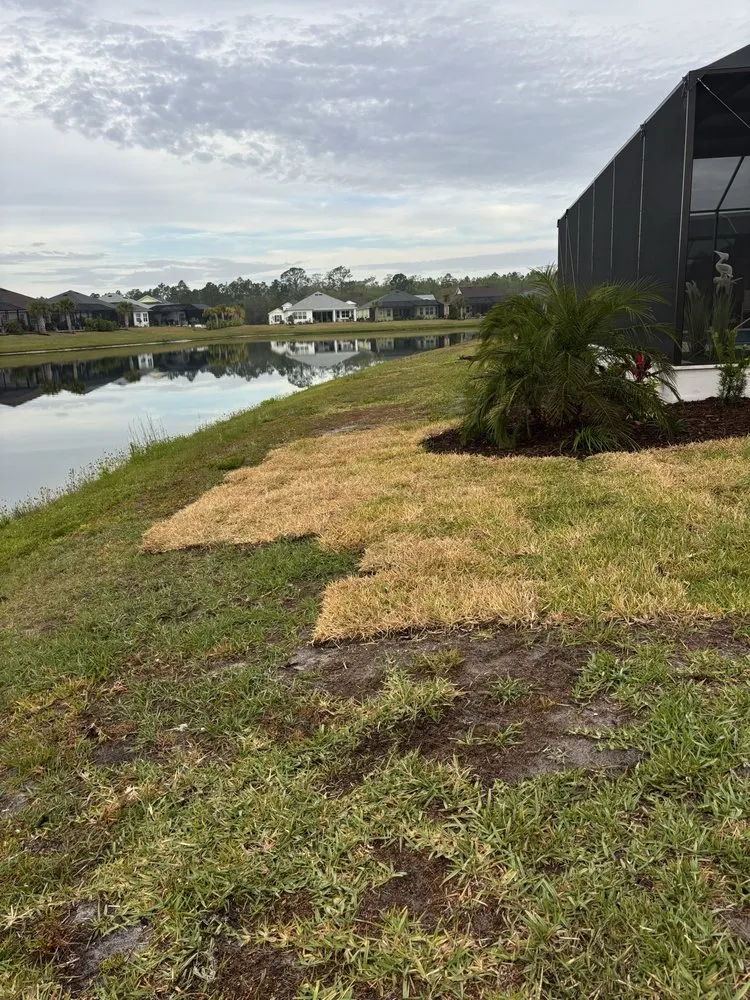 Local yard maintenance in Ormond Beach, FL - Local Lawn and Landscape