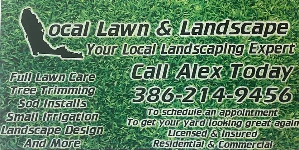 Expert yard cleanup service experts serving Ormond Beach, FL - Local Lawn and Landscape