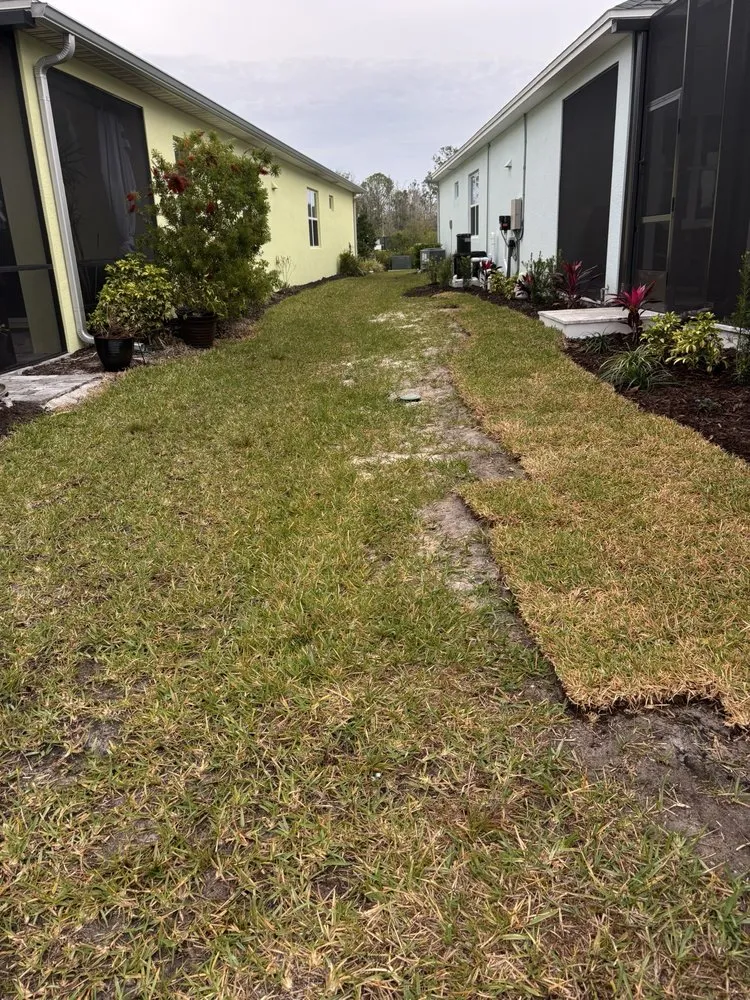 Affordable residential landscaping in Ormond Beach, FL - Local Lawn and Landscape