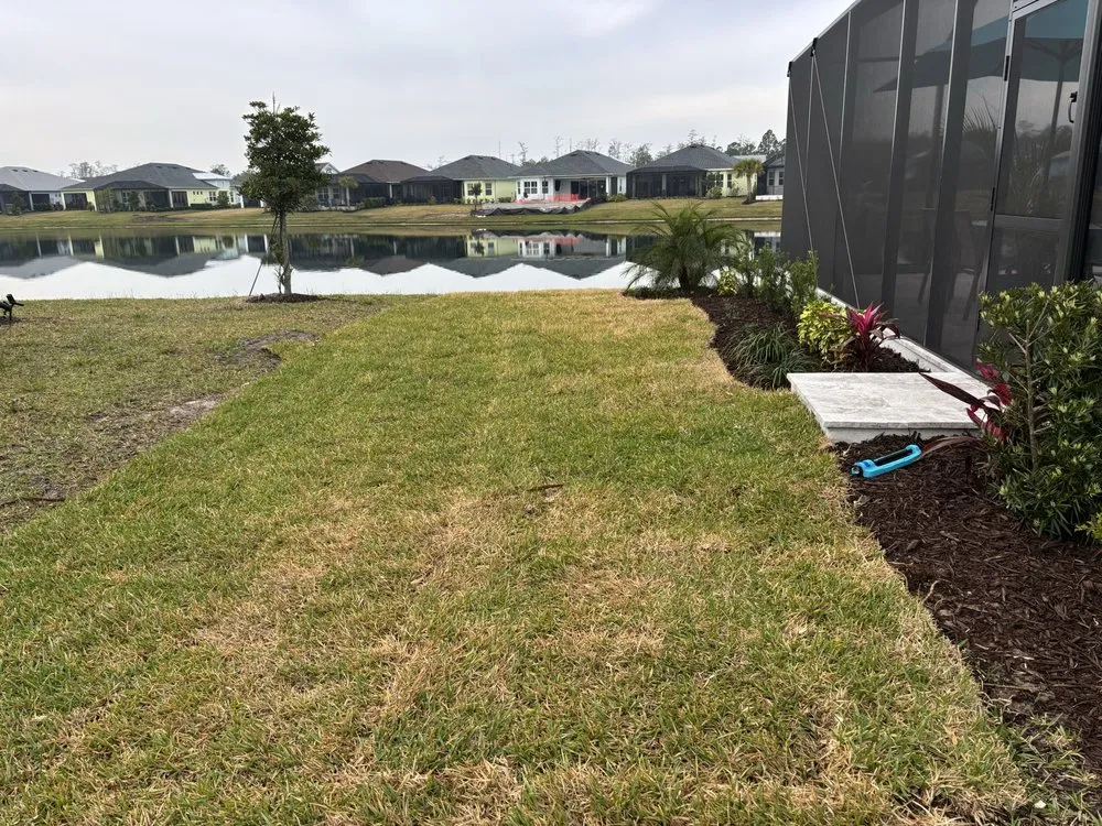 Top-rated yard cleanup service for year-round maintenance across Ormond Beach, FL - Local Lawn and Landscape