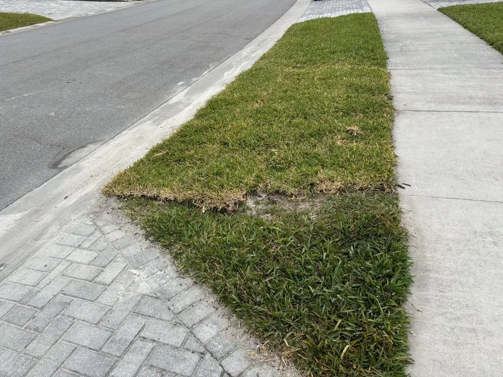 Custom yard maintenance for residential properties across Ormond Beach, FL - Local Lawn and Landscape