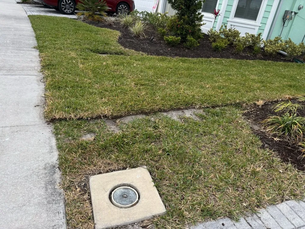 Trusted landscape installation experts serving Ormond Beach, FL - Local Lawn and Landscape