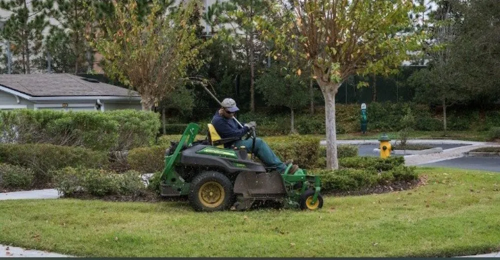 Top-rated yard cleanup service for year-round maintenance in Kennedale, TX by Local Lawn and Tractor Work