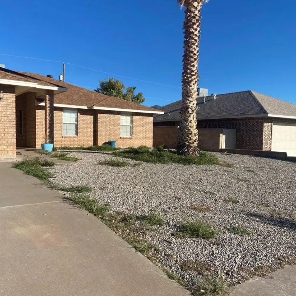 Custom landscaping services in Alamogordo, NM by Local Lawn Care