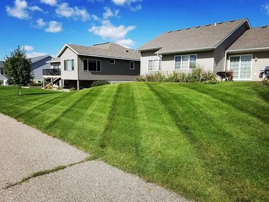 Local Lawn Care