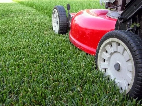 Professional yard maintenance in Emerson, NJ - Local Lawn Care
