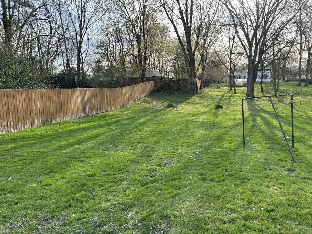 Affordable lawn care service for residential properties across Mount Sterling, KY - Local Lawn Care