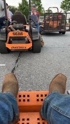 Local Lawn Care Logo