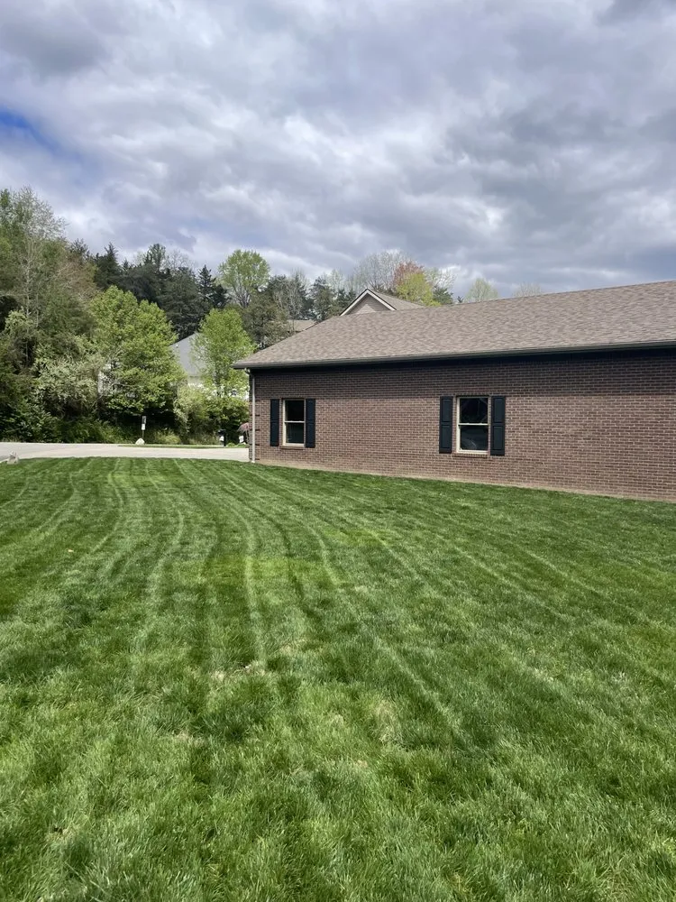 Custom yard maintenance in Pikeville, KY by Local Lawn Care