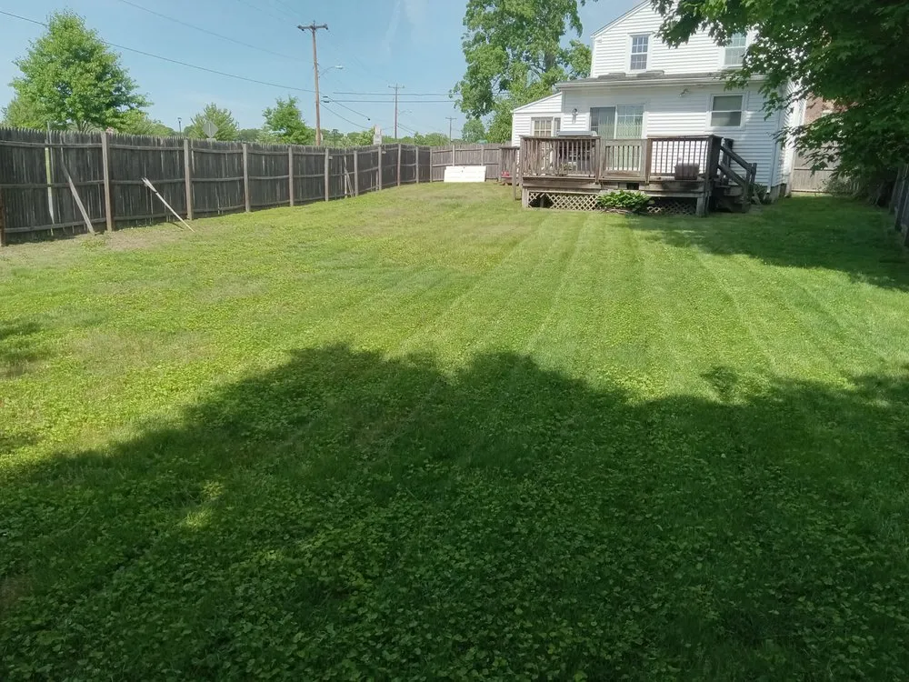 Professional landscape installation with custom design in Springfield, MA by Local Lawn Care