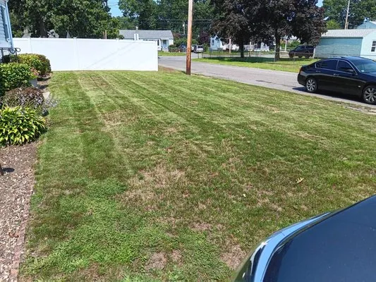 Local Lawn Care Logo