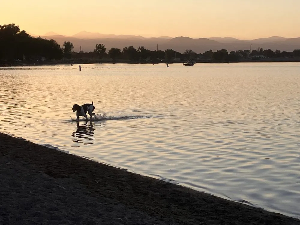 Reliable lawn mowing service in Longmont, CO - Local Lawn Services