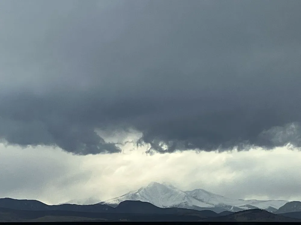 Professional garden landscaping in Longmont, CO - Local Lawn Services