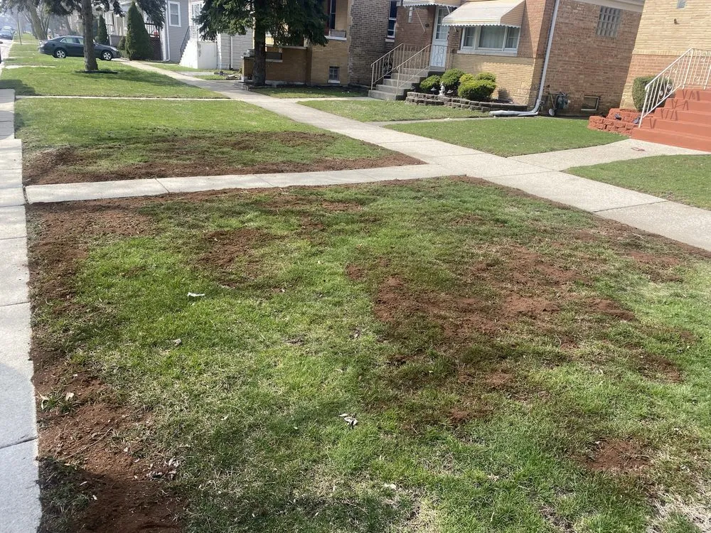 Local landscape design for beautiful yards in Stickney, IL by Local Lawn