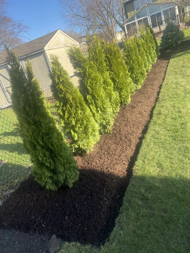 Trusted yard cleanup service in Stickney, IL by Local Lawn